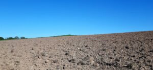 Mehr über den Artikel erfahren Auswirkungen des Klimawandels auf den deutschen Arbeitsmarkt