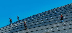 Mehr über den Artikel erfahren Fachkräfte für die sozial-ökologische Transformation