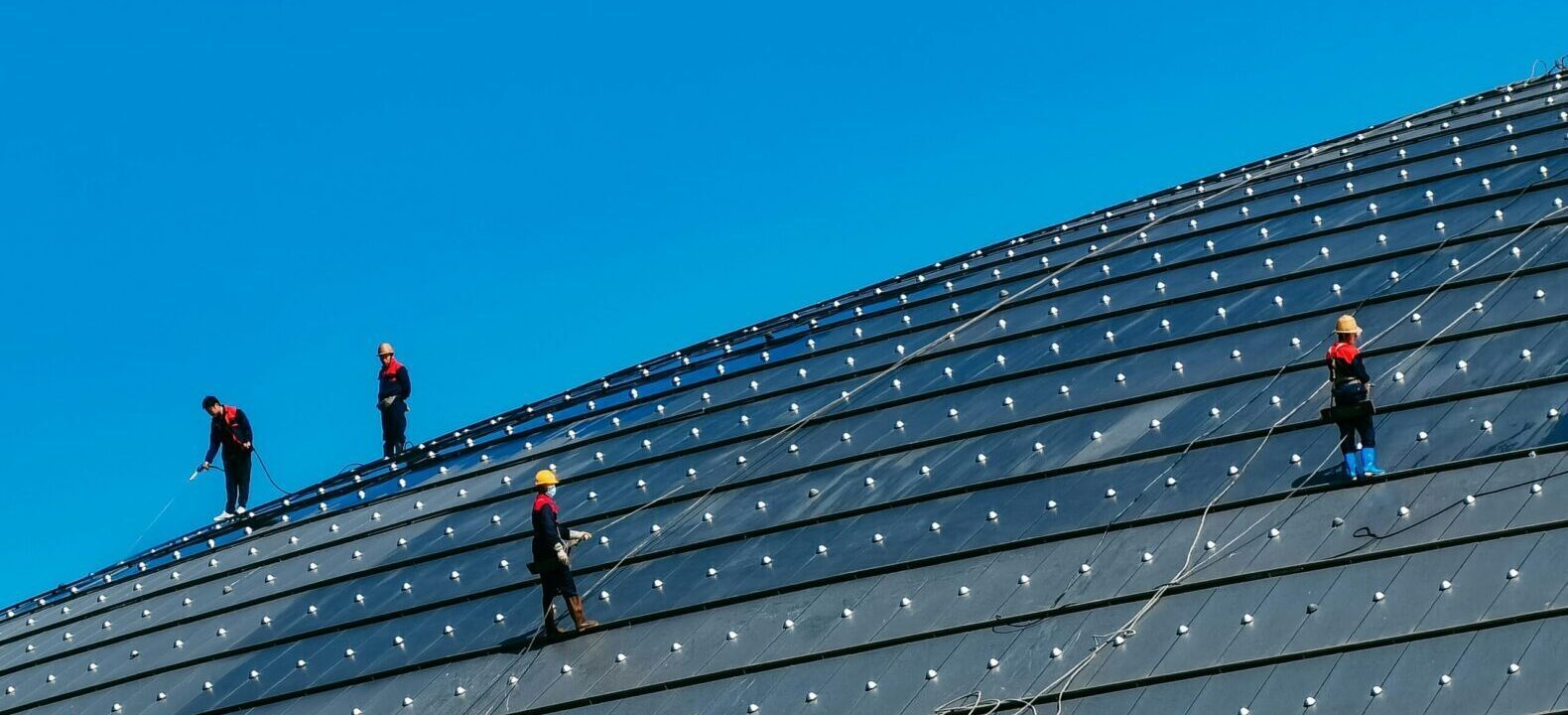 Du betrachtest gerade Fachkräfte für die sozial-ökologische Transformation