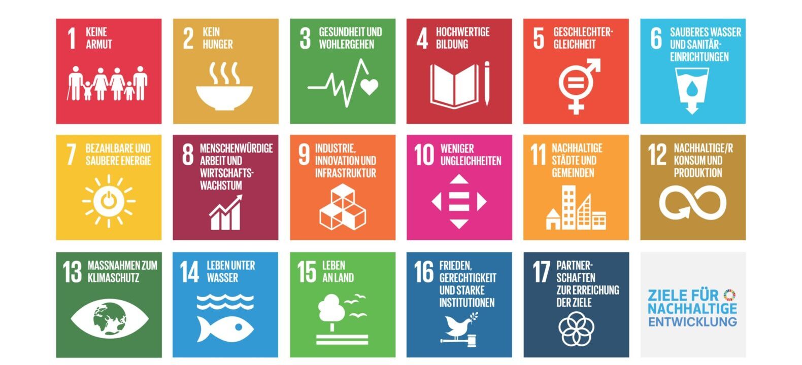 Du betrachtest gerade Jobmonitor: Green Economy